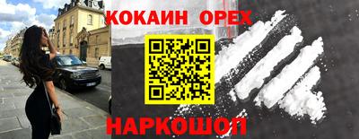 гашик Будённовск