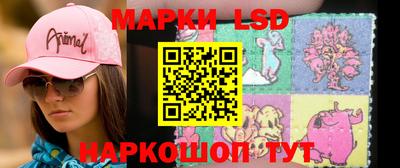 apvp Бийск