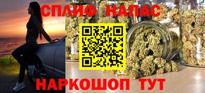 apvp Бийск