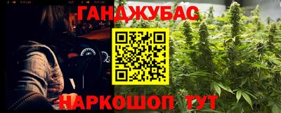 гашик Будённовск