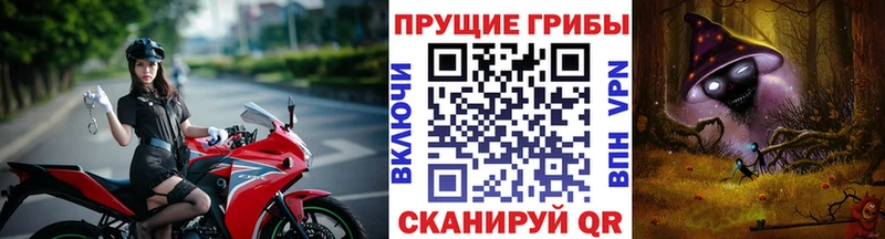 Галлюциногенные грибы Psilocybine cubensis  что такое наркотик  Губкинский 