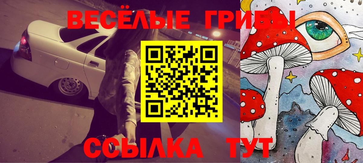 Галлюциногенные грибы Psilocybe Губкинский