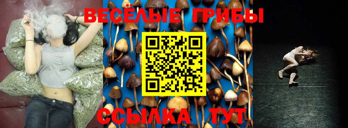 Псилоцибиновые грибы Magic Shrooms Губкинский