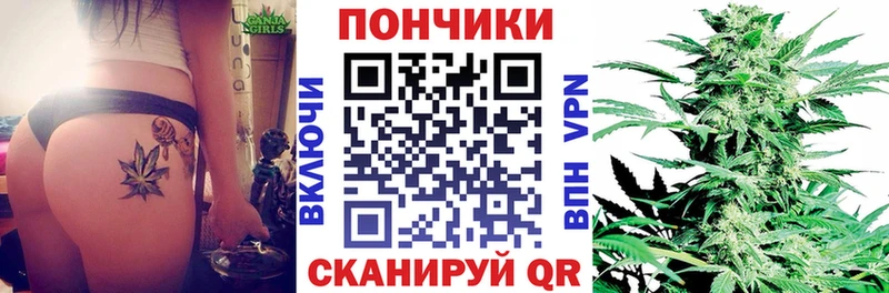 купить наркоту  Губкинский  Шишки марихуана SATIVA & INDICA 